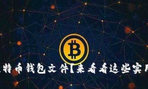 如何破解比特币钱包文件？来看看这些实用的方法吧！