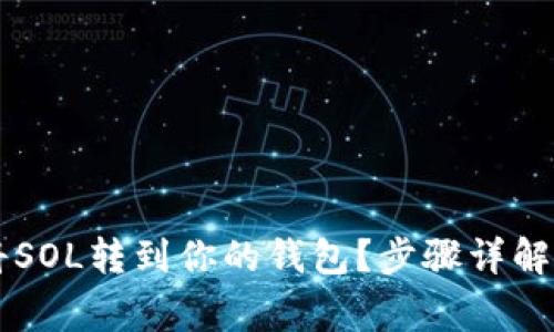 币安如何将SOL转到你的钱包？步骤详解与注意事项