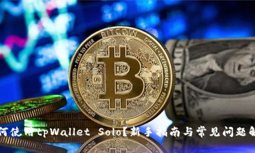 如何使用tpWallet Solo？新手指南与常见问题解答