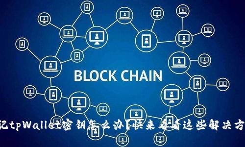 忘记tpWallet密钥怎么办？快来看看这些解决方法！