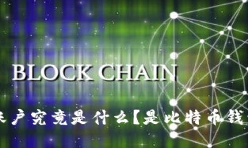 IGP账户究竟是什么？是比特币钱包吗？