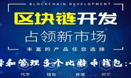 如何选择和管理多个比特币钱包：全面指南