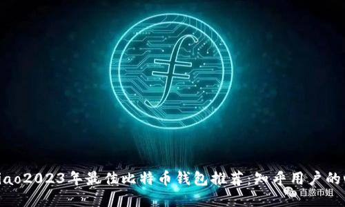 bibiao/bibiao2023年最佳比特币钱包推荐：知乎用户的心得与选择