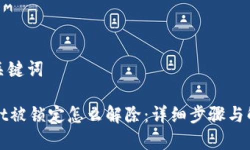 思考和关键词  

tpWallet被锁定怎么解除：详细步骤与解决方案