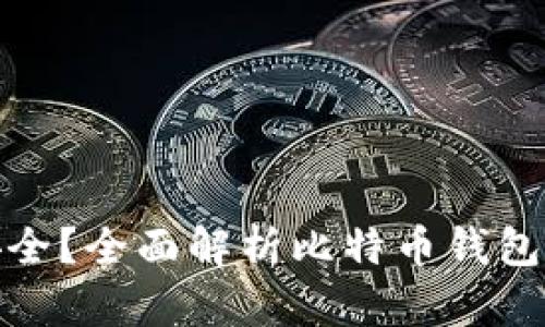 什么比特币钱包最安全？全面解析比特币钱包的安全性及选择建议