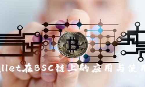 tpWallet在BSC链上的应用与使用指南