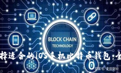 如何选择适合的iOS手机比特币钱包：全面指南