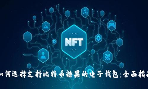 如何选择支持比特币糖果的电子钱包：全面指南