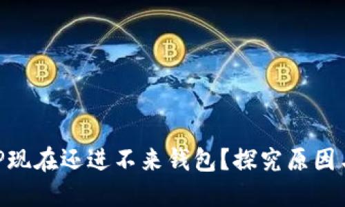 为什么XRP现在还进不来钱包？探究原因与解决方案