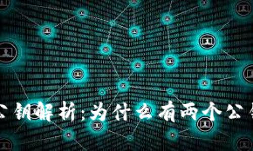 比特币钱包公钥解析：为什么有两个公钥及其重要性