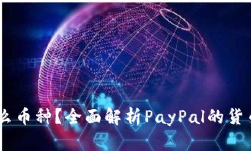 PayPal是什么币种？全面解析PayPal的货币支持与使用
