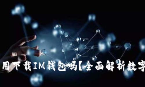 有tpWallet还用下载IM钱包吗？全面解析数字钱包使用选择