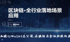 新加坡tpWallet总公司：区块链与金融科技的未来