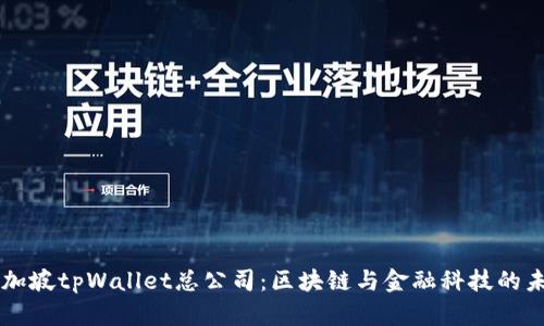 新加坡tpWallet总公司：区块链与金融科技的未来