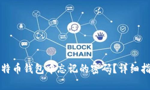 如何找回在比特币钱包中忘记的密码？详细指南与解决方案