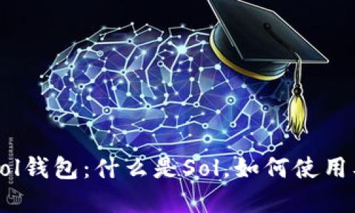 深入了解Sol钱包：什么是Sol，如何使用及其优缺点