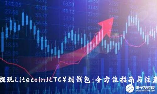 如何提现Litecoin（LTC）到钱包：全方位指南与注意事项