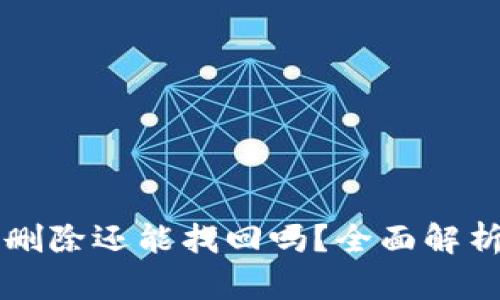 tpWallet被删除还能找回吗？全面解析与解决方案