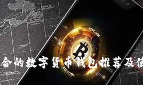 SHIB适合的数字货币钱包推荐及使用指南