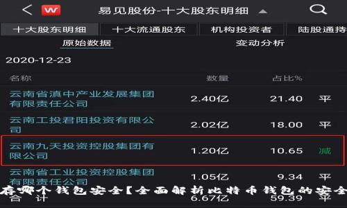 比特币存哪个钱包安全？全面解析比特币钱包的安全性选择