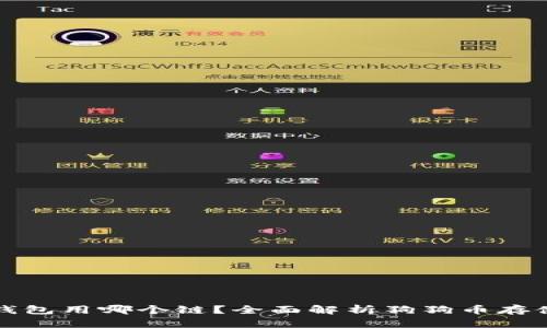 狗狗币放钱包用哪个链？全面解析狗狗币存储与链优势