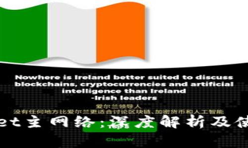 tpWallet主网络：深度解析及使用指南