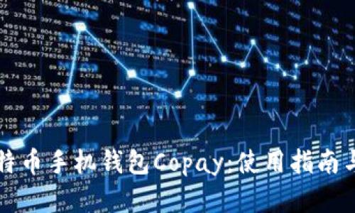 全面解析比特币手机钱包Copay：使用指南与安全性分析