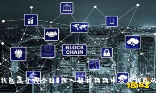 狗狗币存钱包属于哪个链？深入解析狗狗币及其钱包的基础知识