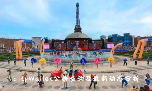 : tpWallet公告查询及最新动态分析