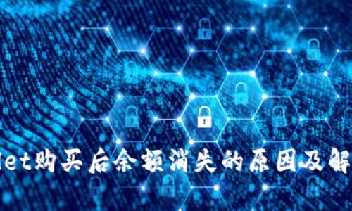 tpWallet购买后余额消失的原因及解决方案