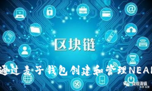 如何通过麦子钱包创建和管理NEAR账户