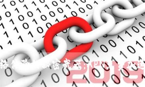 提升网络体验的秘密武器：APN免费加速器详解