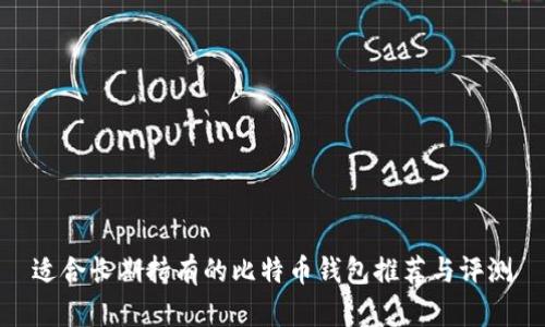 适合长期持有的比特币钱包推荐与评测