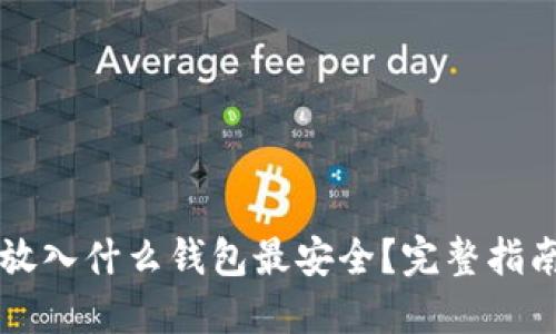 比特币放入什么钱包最安全？完整指南与推荐
