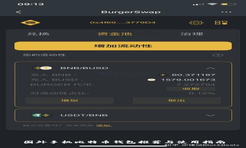 国外手机比特币钱包推荐与使用指南