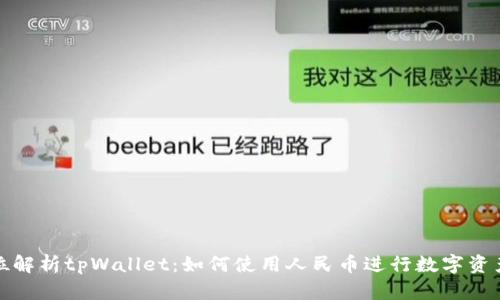 全方位解析tpWallet：如何使用人民币进行数字资产管理