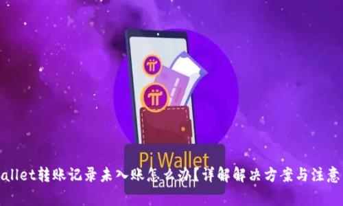 tpWallet转账记录未入账怎么办？详解解决方案与注意事项