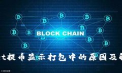 tpWallet提币显示打包中的原