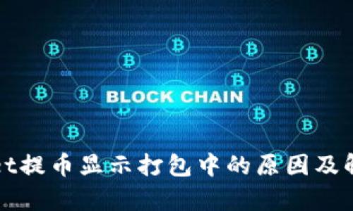 tpWallet提币显示打包中的原因及解决方案