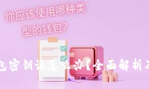 忘记TP钱包密钥该怎么办？全面解析及解决方案