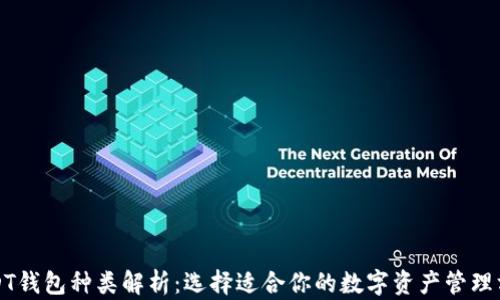 
USDT钱包种类解析：选择适合你的数字资产管理方案