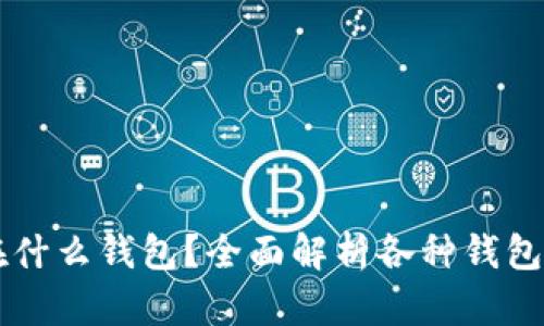 : USDT能放在什么钱包？全面解析各种钱包类型及安全性