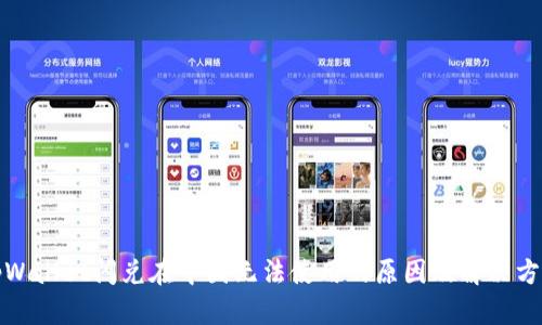 tpWallet闪兑在中国无法使用的原因及解决方案