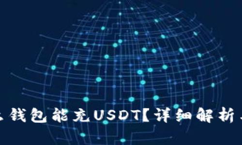 : 什么钱包能充USDT？详细解析与推荐