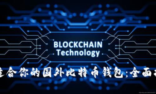 如何选择适合你的国外比特币钱包：全面指南与推荐