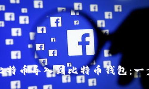 如何将比特币导入到比特币钱包：一步步教程