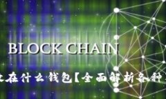 狗狗币可以存放在什么钱