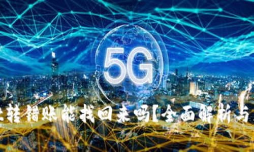 tpWallet转错账能找回来吗？全面解析与应对措施