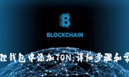 如何在小狐狸钱包中添加TON：详细步骤和常见问题解答