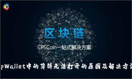 tpWallet中的薄饼无法打开的原因及解决方法